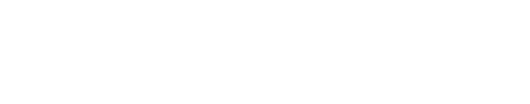 Marsurveyor